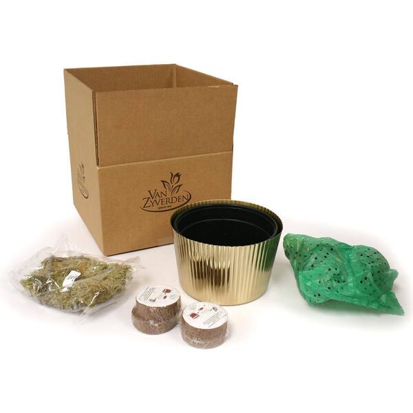 weeed セット Amazon.com: BLITZWAX 2pcs Silicone Wax Pot Liners for Hair
