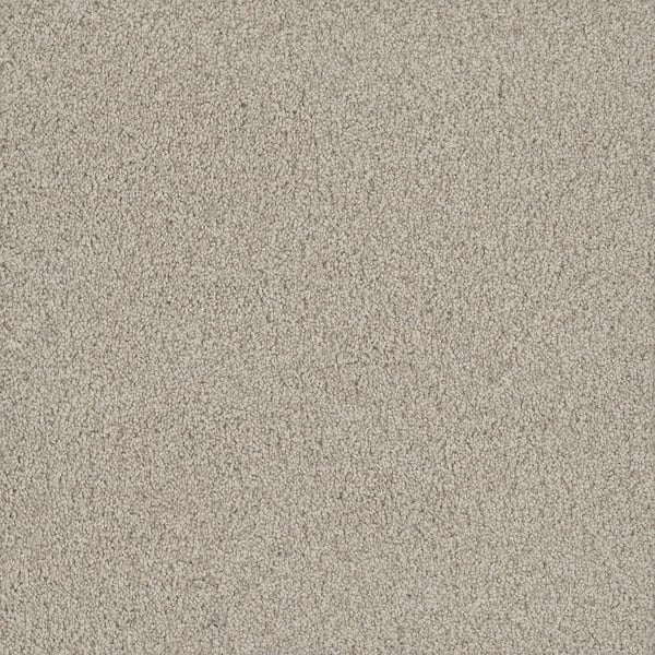 Meringue II-Velvet White-54 oz. SD Polyester Texture Installed Carpet