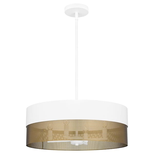 Quoizel Alani 60-Watt 4-Light Matte White Pendant Light