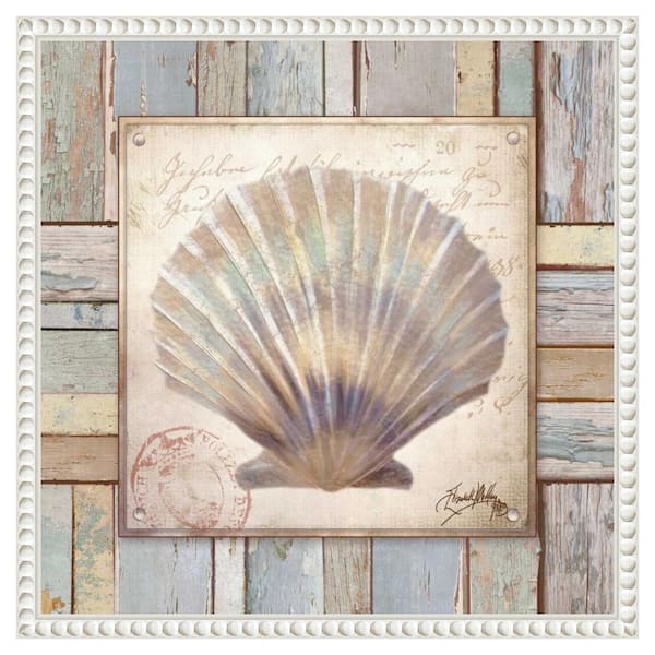 Amanti Art "Beach Shell I" by Elizabeth Medley 1-Piece Floater Frame Giclee Coastal Canvas Art Print 16 in. x 16 in.