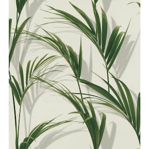 Cyperus Grey Reed Wallpaper
