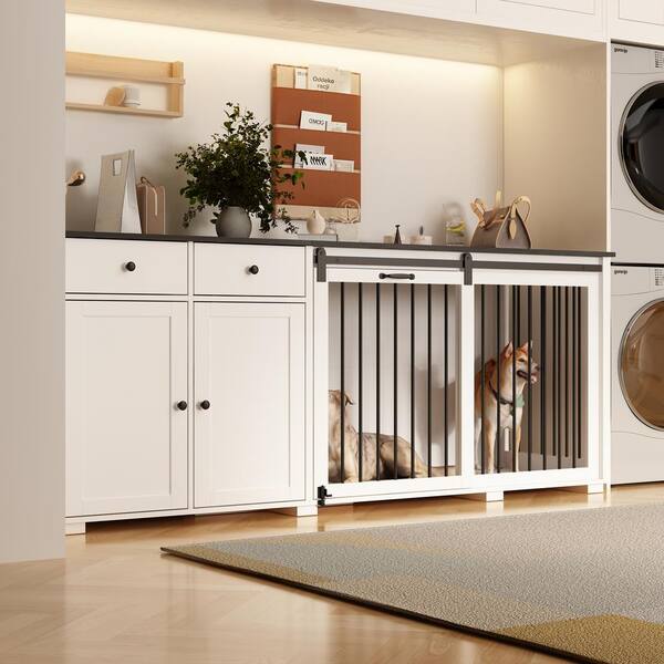 Dog kennel outlet with door