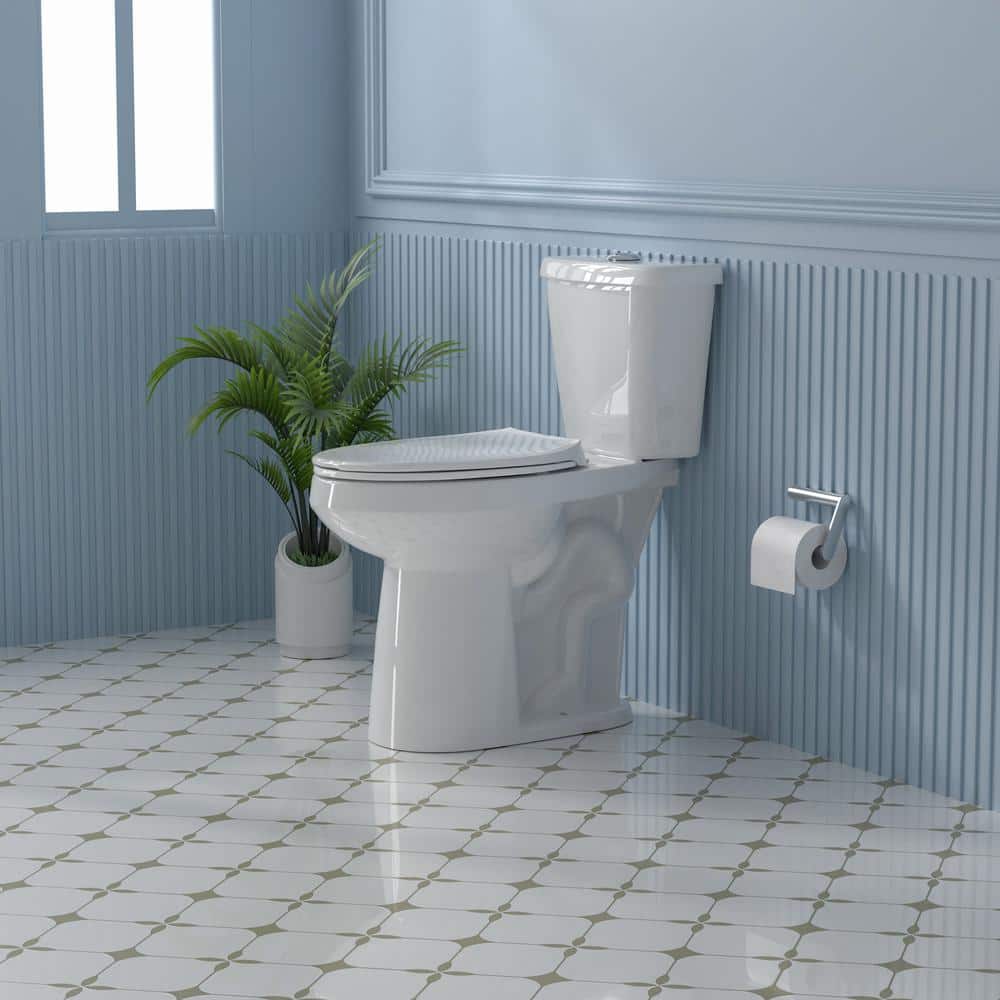 19 in. White Vitreous China Dual Flush Elongated Toilet