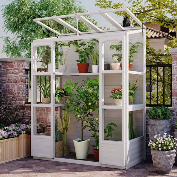 4.8 ft. W x 2.4 ft. D Outdoor Wooden Shed Greenhouse Cold Frame with 4 Skylight and 2 Folding Shelves White (12 sq. ft.)