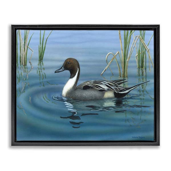 Stupell Industries Pintail Loon in Pond by Valerie Rogers Black Floater Frame Animal Graphic Art Print 17 in. x 21 in.