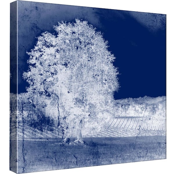 PTM Images 15 in. x 15 in. ''Screened Tree O'' Printed Canvas Wall Art