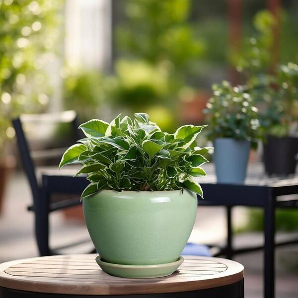 Unbranded Reactive Green Ceramic Indoor/Outdoor Planter with Saucer (6.3  in. W x 4.4 in. H) L0DHRBSVD5