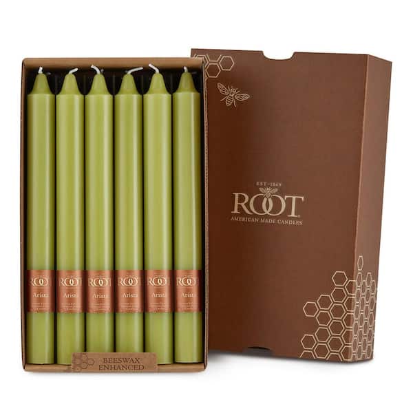 ROOT CANDLES Smooth Arista 9 in. Willow Green Unscented Taper Candle (Set of 12)
