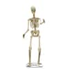 Home Accents Holiday 12 ft. Servo Skelly 24SV24665