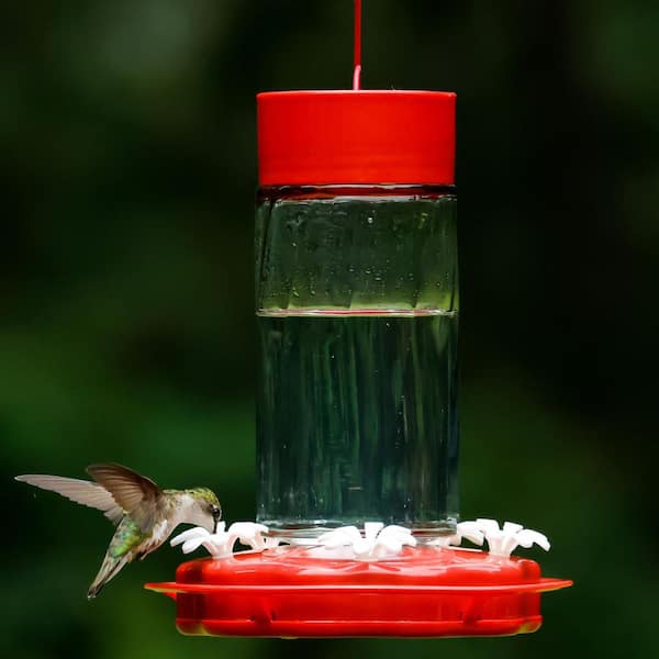 Nature's Way Scarlet Swirl Glass Hummingbird Feeder 20 oz TGF4