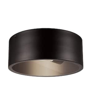 Teagan 1-Light Dark Bronze Outdoor Indoor Flush Mount Ceiling Light