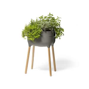 20 in. x 15 in. Anthracite Gray Resin Self Watering Raised Planter with FSC Hardwood Legs