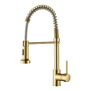 Single Handle Pull Down Sprayer Kitchen Faucet with Dual Function Spray Head in Titanium Gold