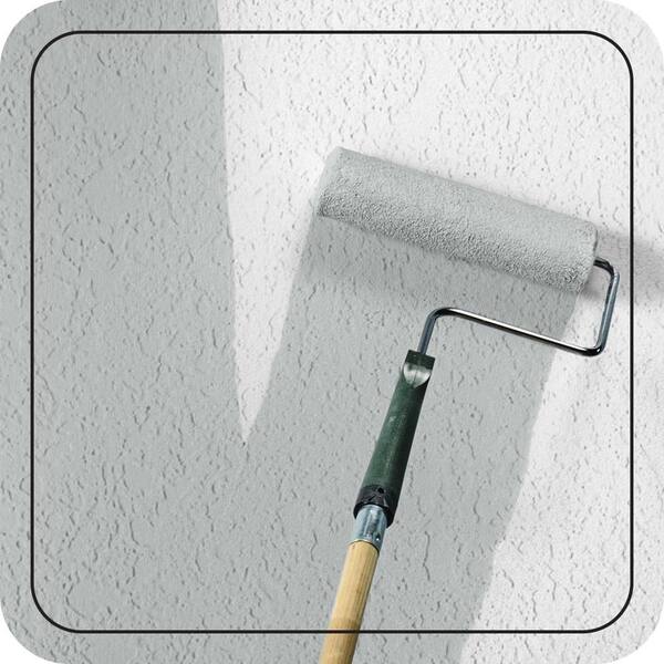 N450-2 Zero Gravity Paint