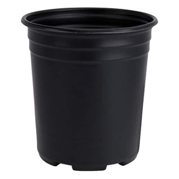 Unbranded Trade 2 Gal. (1.8 Gal.) Black Thermoformed Nursery Pot