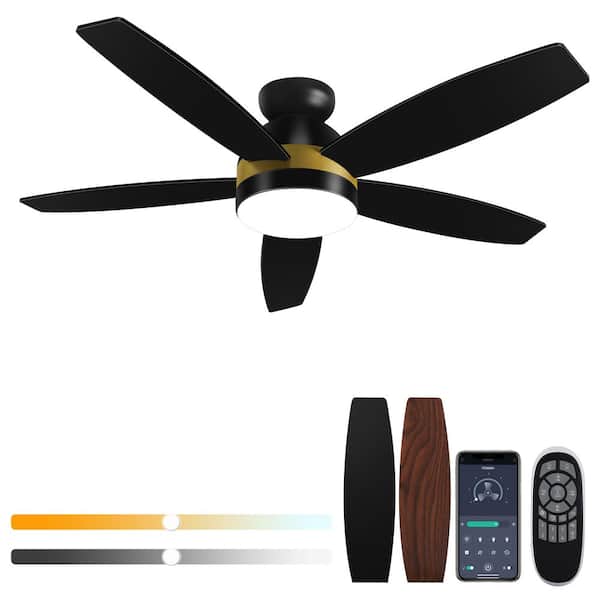 44 in. Black Indoor/Covered Outdoor Dimmable LED Flush Mount Ceiling Fan with Remote