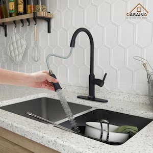 Single Handle Pull Down Sprayer Kitchen Faucet with Dual-Function Pull out Sprayer Head, Stainless Steel in Matte Black