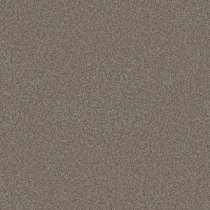 Rosemary III - Woolly-Brown 12 ft. 66 oz. High Performance Polyester Texture Installed Carpet