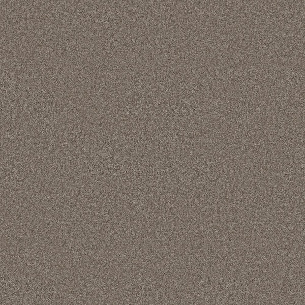 Lifeproof Rosemary III - Woolly-Brown 12 ft. 66 oz. High Performance Polyester Texture Installed Carpet