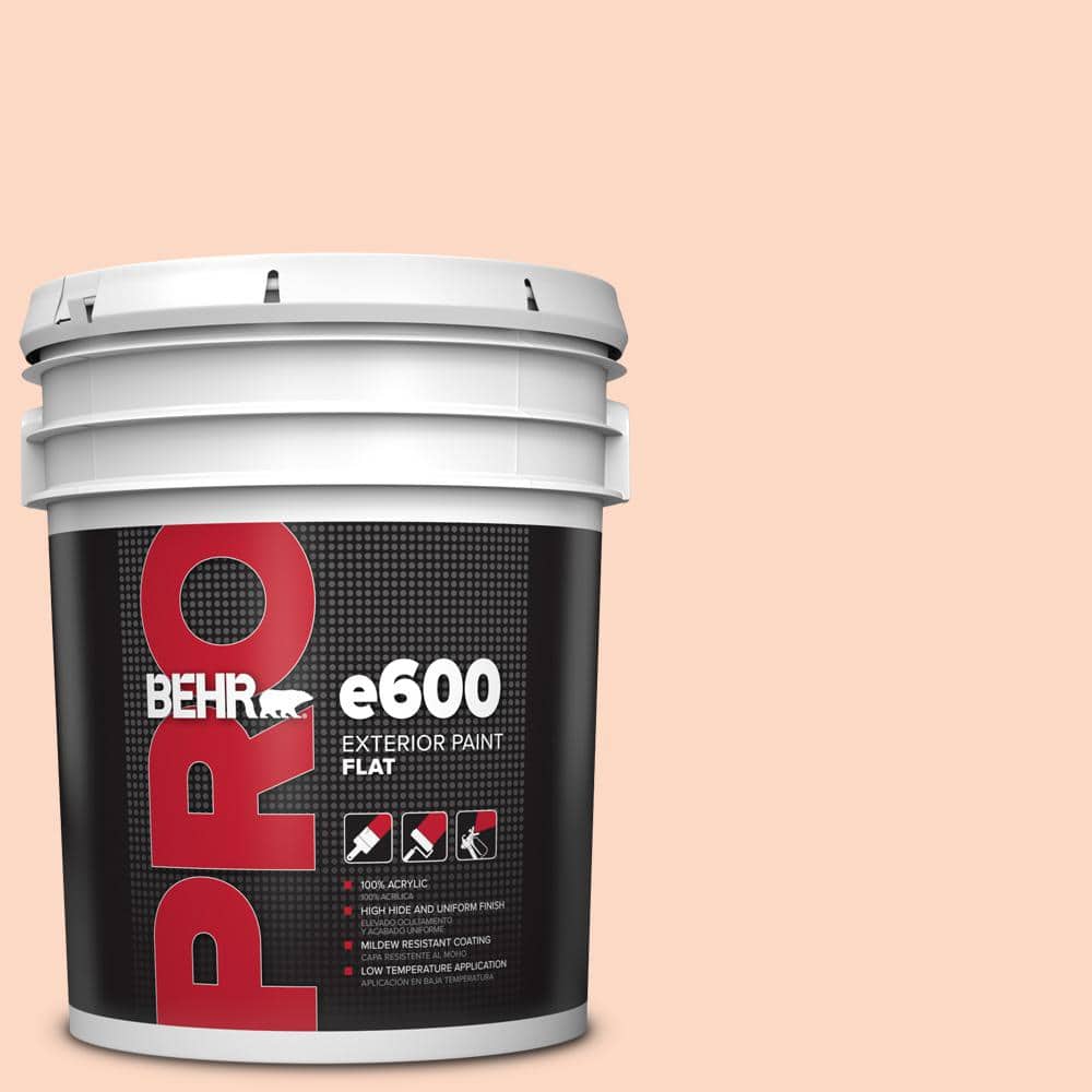5 gal. #P190-1 Fire Mist Flat Exterior Paint price history on PriceWatchPro