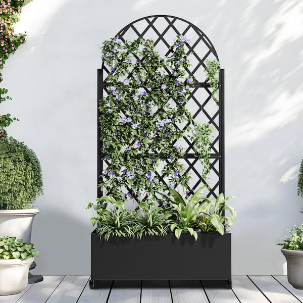 Dovelina 71 in. H Metal Black Arch Pots and Planter Raised Bed Box with Trellis for Vine Climbing Plants and Vegetable Flower
