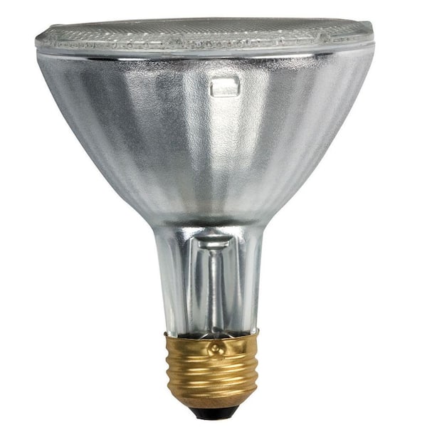 Lids razvoju Imperativ  Philips 75-Watt Equivalent Halogen PAR30 Dimmable Flood Light Bulb (2-Pack)  429365 - The Home Depot