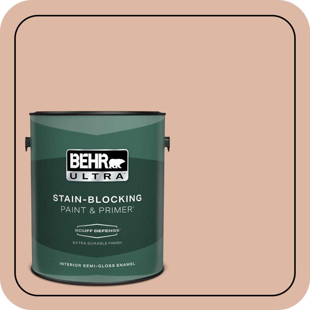 1 gal. #ECC-60-1 Coral Bay Extra Durable Semi-Gloss Enamel Interior Paint & Primer product image for price tracking