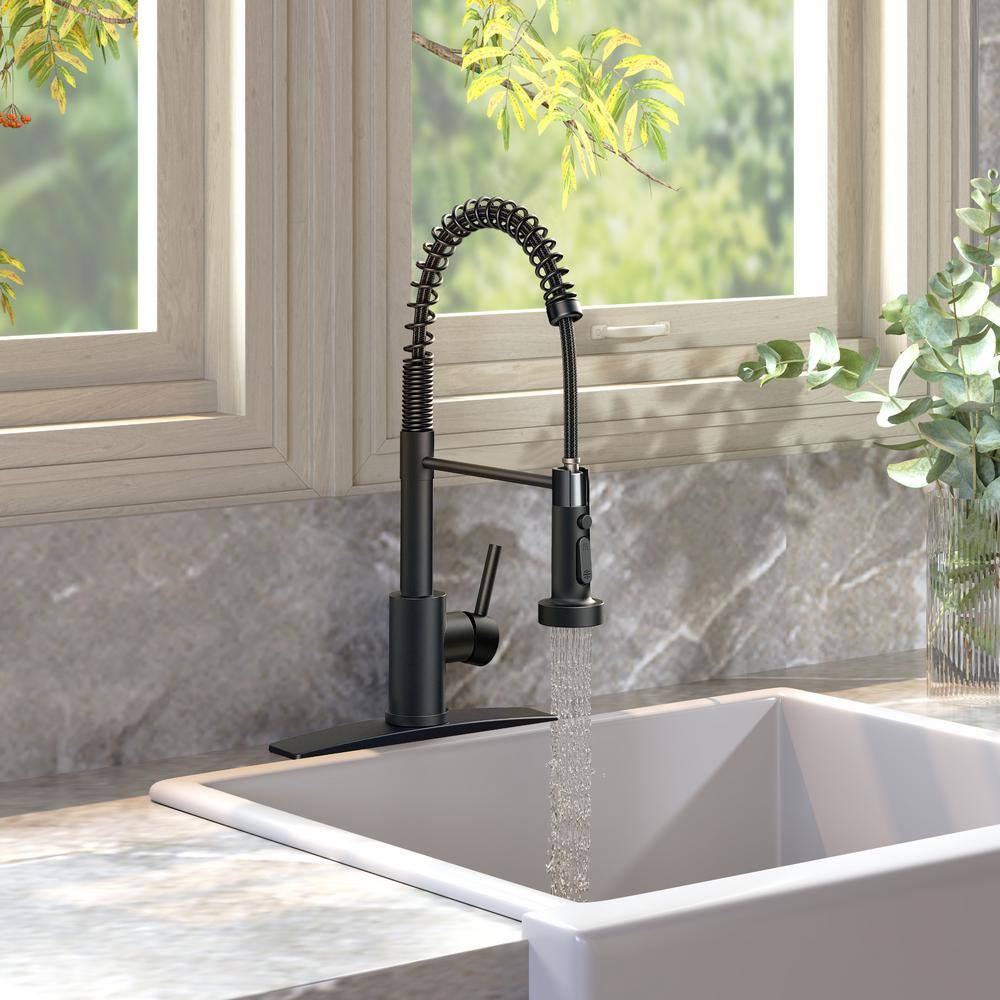 Matte Black Stainless Steel Pull Down Kitchen Faucet with Deck Plate