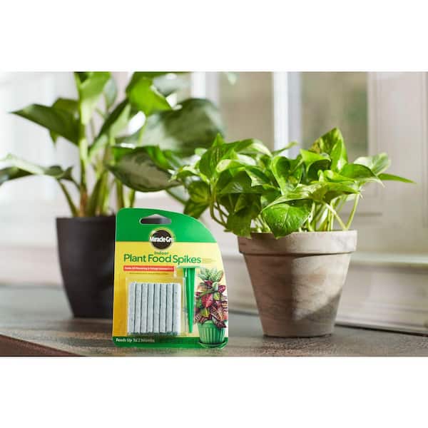 Miracle-Gro Indoor Plant Food Spikes, 24 Spikes, For Flowering and