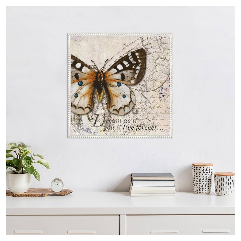 22"x22" Living your Dreams I Butterfly by Patricia Pinto Framed Canvas Wall Art Print White - Amanti Art: Modern Style, Polystyrene Frame