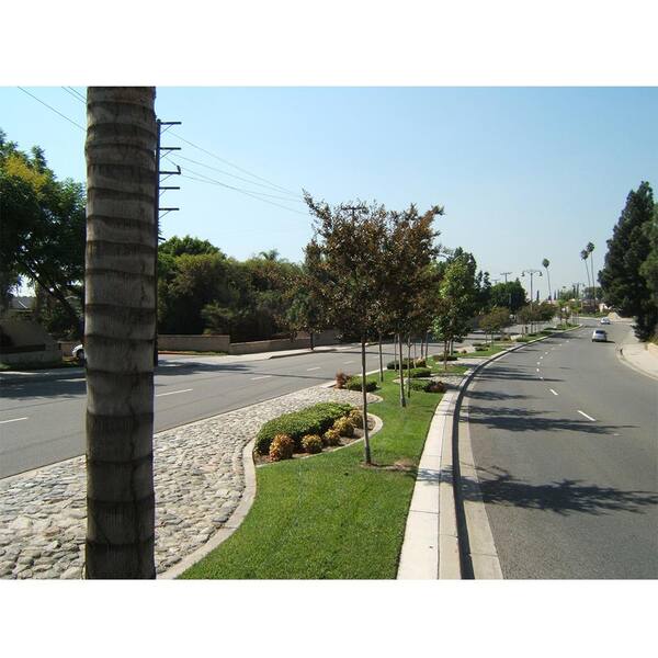 9 In Tree Guard Tree Trunk Protector 5 Pack Trgrd5pk The Home Depot