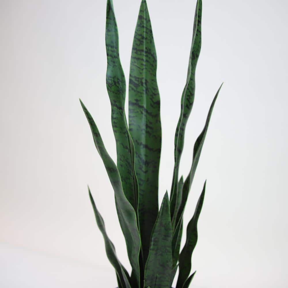 24" Green Artificial Snake Plant in Black Plastic Pot