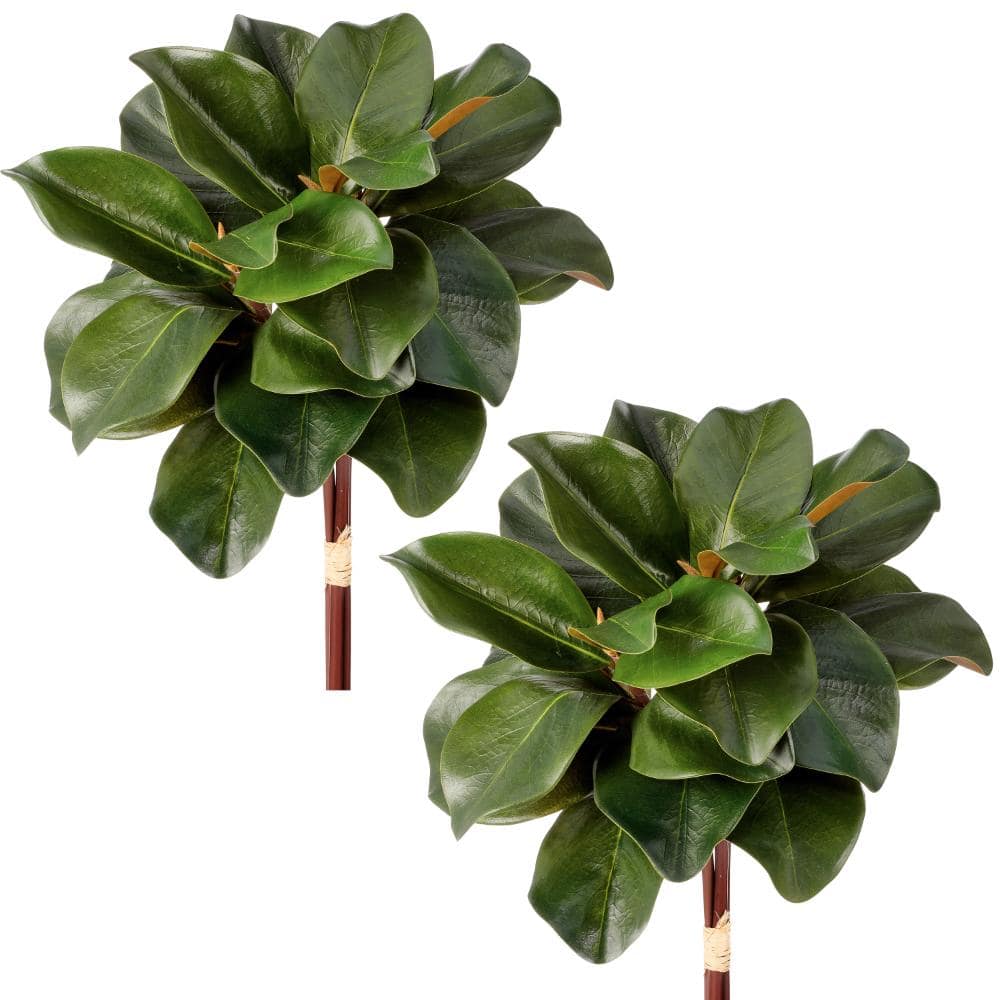 "18"" Charleston Magnolia Bundle Set of 2" price history on PriceWatchPro