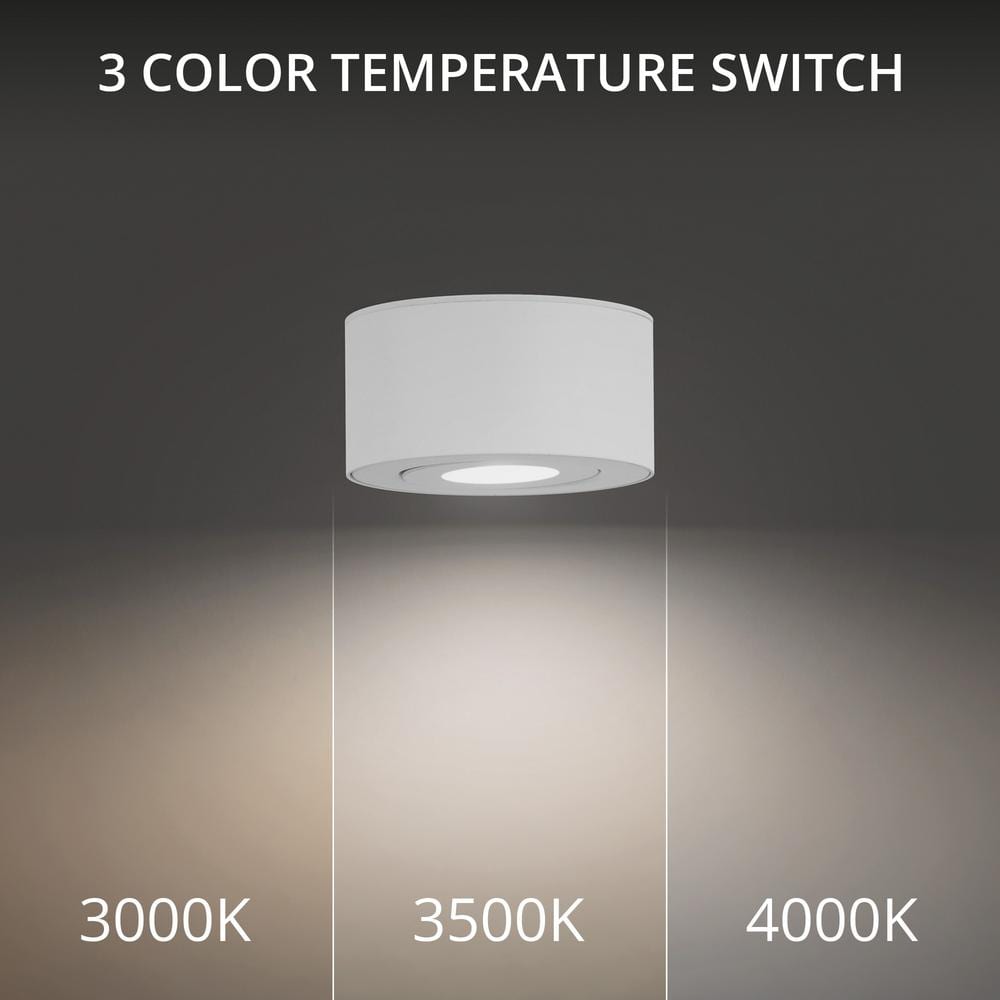 Peek Adjustable Beam LED Indoor/Outdoor Flush Mount in White