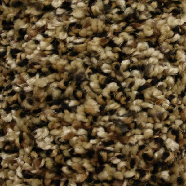 Home Decorators Collection Carpet Sample - Stonewall II - Color Perfect Haven Texture 8 in. x 8 in.