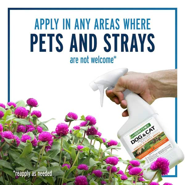 Cat repellent for yard home depot best sale