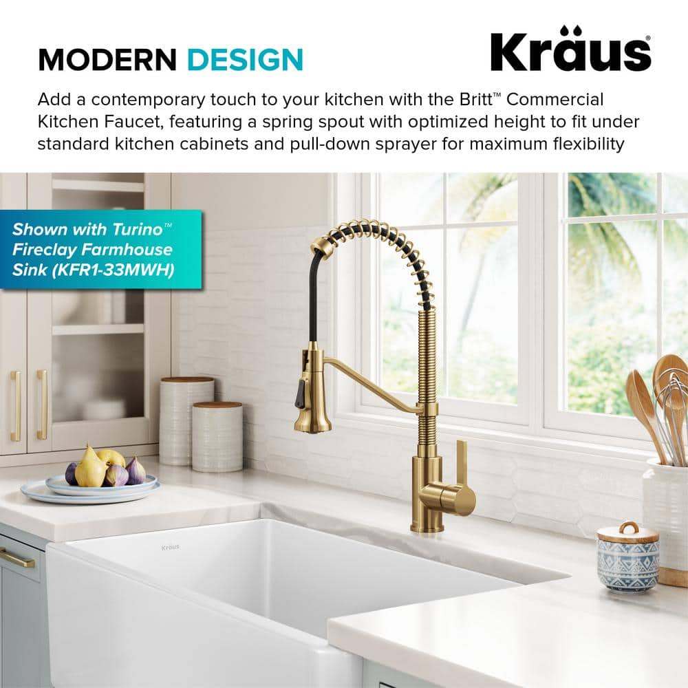 Britt Brushed Brass Pull-down Kitchen Faucet with Spray