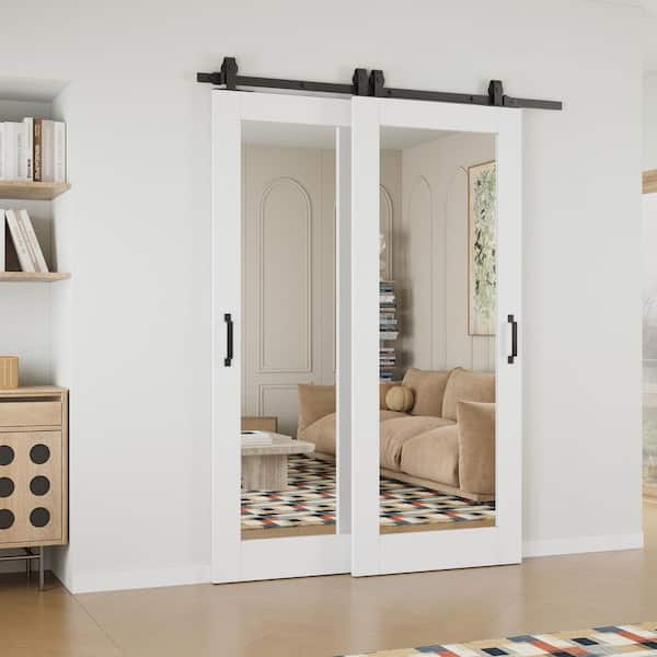 EH PUERTA 56 in. x 80 in. (Double 32 in.) 1-Lite Mirrored Glass