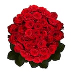 Globalrose 100 Stems - Fresh Cut Red Roses - Delivery for