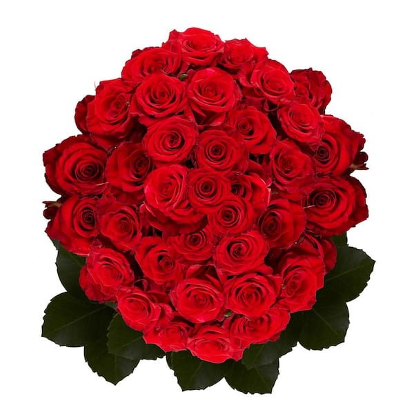 Globalrose 100 Red Roses Fresh Delivery prime-100-red-roses - The Home Depot
