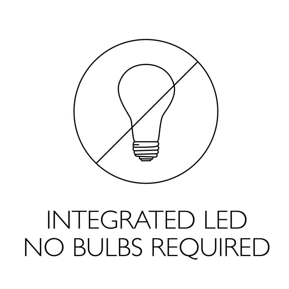 Black Glass LED Indoor/Outdoor Ceiling Light