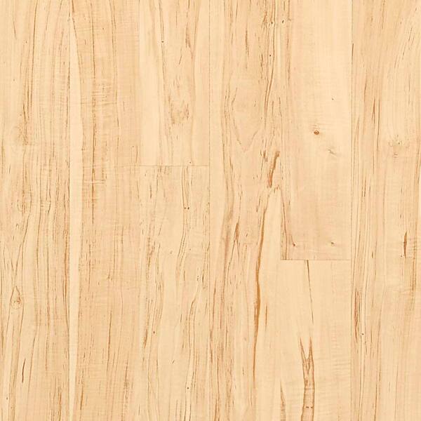 Pergo Presto Manitoba Maple Laminate Flooring - 5 in. x 7 in. Take Home Sample