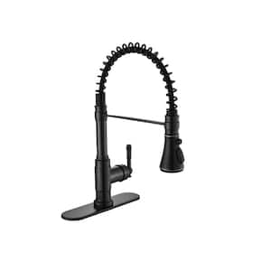 Single Handle Pull Down Sprayer Kitchen Faucet with Deck Plate and Swivel Spoutin in Oil Rubbed Bronze