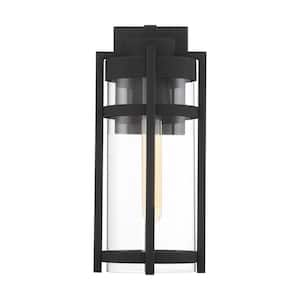 Tofino Textured Black/Clear Glass Outdoor Hardwired Wall Lantern Sconce with No Bulbs Included