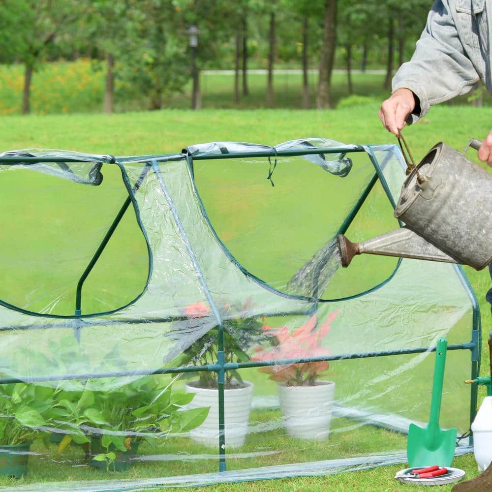 6 ft. x 3 ft. Green Mini Greenhouse with Zipper Doors