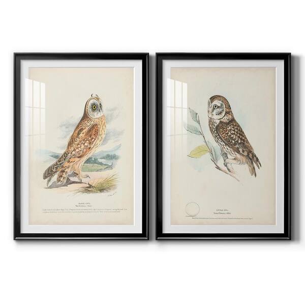 Wexford Home Wings Galore I By Wexford Homes 2-Pcs Framed Abstract ...