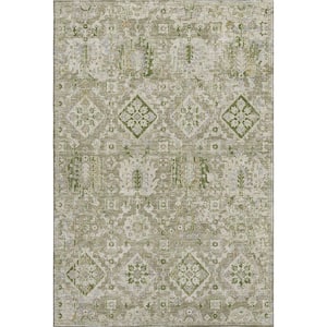Mayfield Premium Machine Washable Abstract AMF1998 Fern 8 ft. x 10 ft. Area Rug