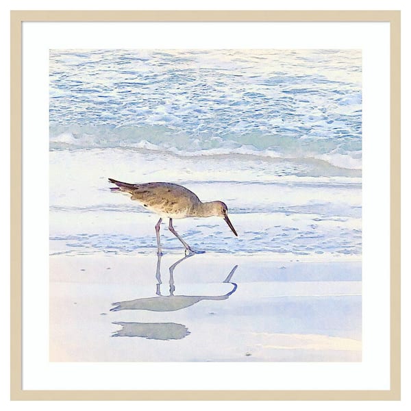 Amanti Art Sandpiper Dreams II by Christine Zalewski 33 in. W x 33 in. H. Wood Framed Wall Art Print Framed in Brown