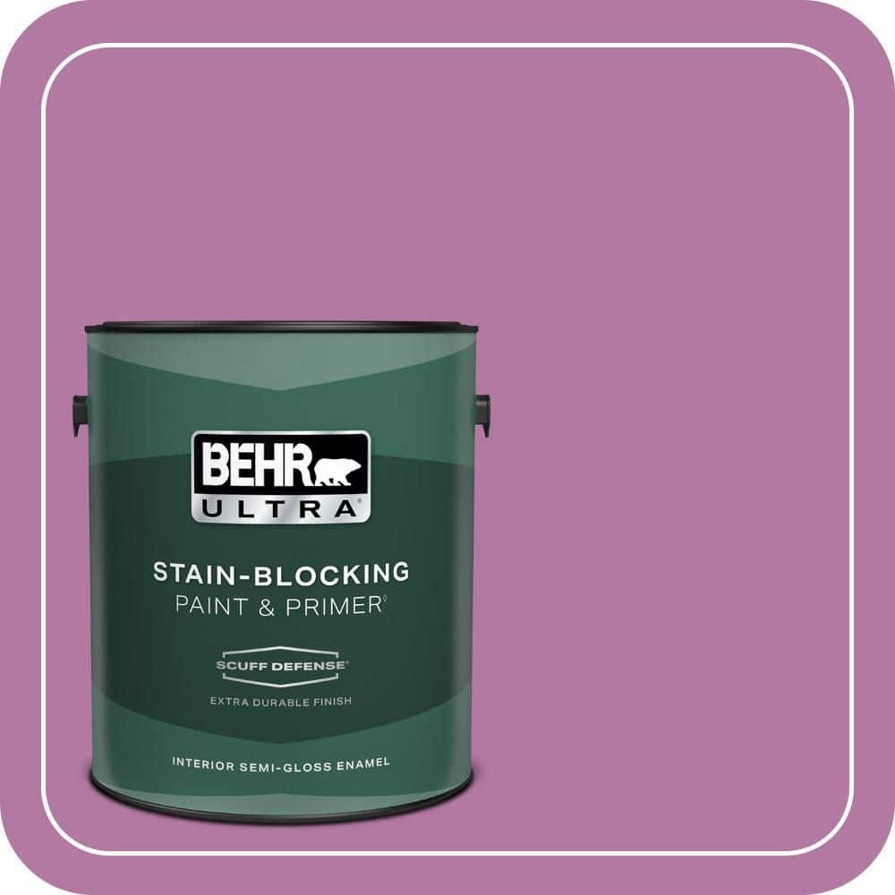 1 gal. Home Decorators Collection #HDC-SP16-11 Cactus Flower Extra Durable Semi-Gloss Enamel Interior Paint & Primer price history on PriceWatchPro