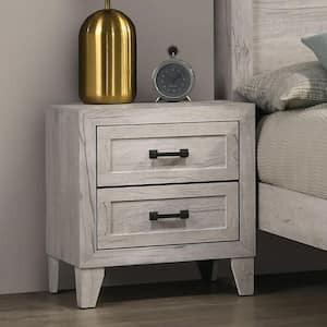 Jasper Washed White 2-Drawer 21.5 in. W Nightstand